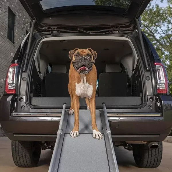PetSafe Rampe T Lescopique Compacte Pour Chiens Happy Ride De ®< Accès Et Mobilité
