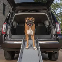 PetSafe Rampe T Lescopique Compacte Pour Chiens Happy Ride De ®< Voyage En Voiture