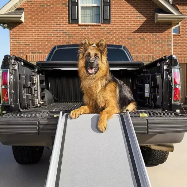 PetSafe Rampe T Lescopique Extra Longue Pour Chiens Happy Ride De ®< Voyage En Voiture