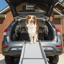 PetSafe Rampe T Lescopique Pour Chiens Happy Ride De ®< Accès Et Mobilité
