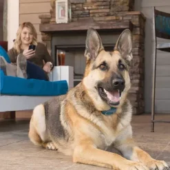 PetSafe Smart Dog Dressage< Électrostatique