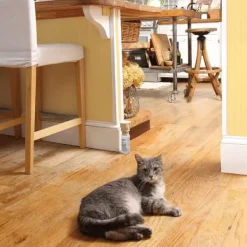 PetSafe Spray R Pulsif Ssscat< Systèmes De Contournement