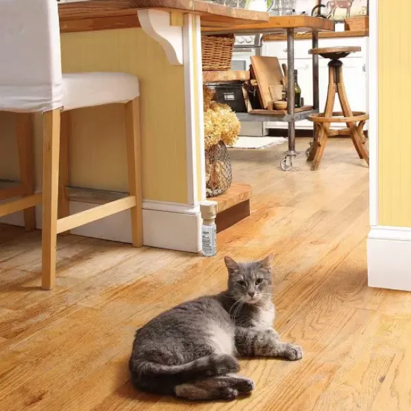 PetSafe Spray R Pulsif Ssscat< Systèmes De Contournement