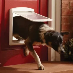 PetSafe Staywell® Porte Pour Animaux D'Origine 2 Positions< Chats