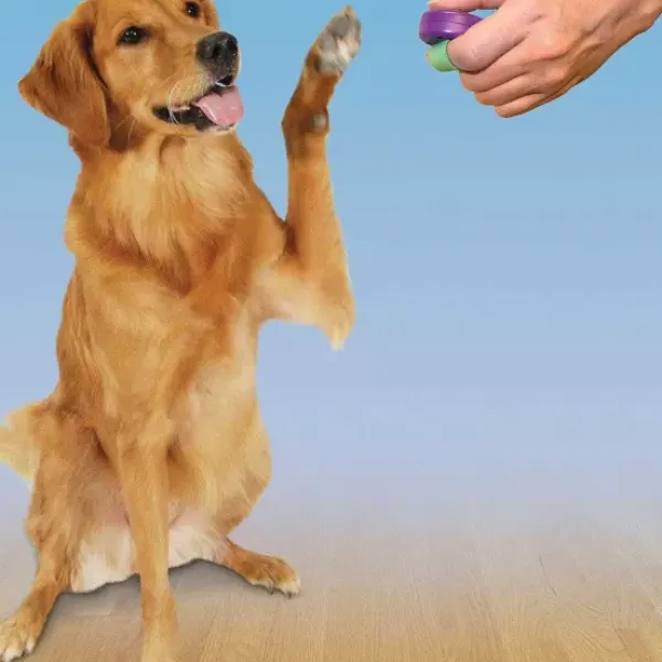 PetSafe T L Commande De Dressage Clik-R< Clickers