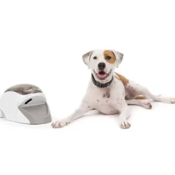 PetSafe Treat & Train Manners Minder Dispositif De Dressage Pour Chien Par La R Compense Distance< Clickers