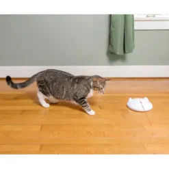 PetSafe Zip Laser Automatique< Jouets Pour Chats